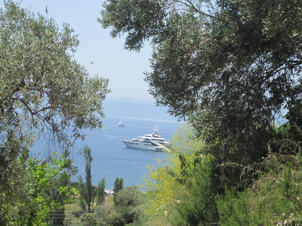 Kolios View Studios Bagian luar foto